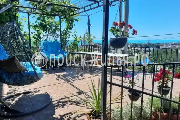 «Орхидея», Лазаревское