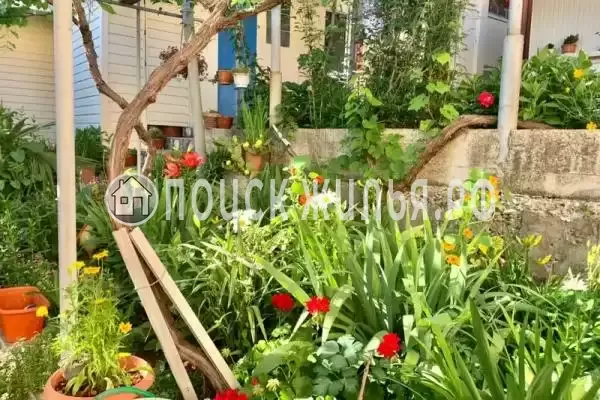 «Уют», Лазаревское «Уют», Лазаревское