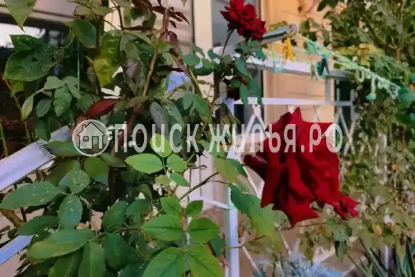 «Анли», Анапа «Анли», Анапа