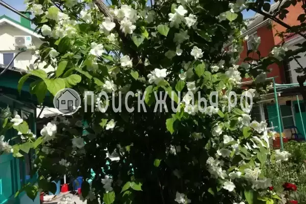 «У Борисовны», Анапа