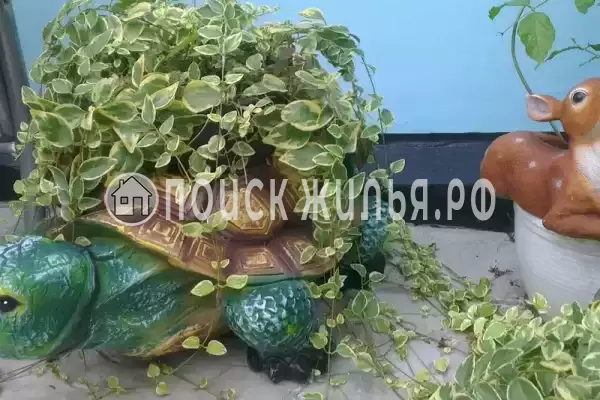 «У Борисовны», Анапа