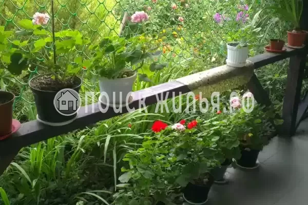 «У Борисовны», Анапа