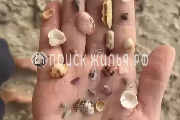 «Изабелла», Архипо-Осиповка