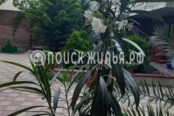 «Ласточкино гнездо», Геленджик