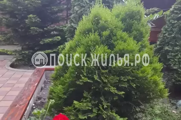 «Ласточкино гнездо», Геленджик