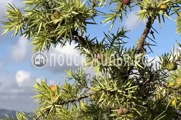 «Краски Черного моря», Архипо-Осиповка «Краски Черного моря», Архипо-Осиповка