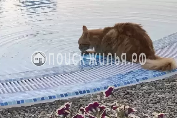 «Краски Черного моря», Архипо-Осиповка «Краски Черного моря», Архипо-Осиповка