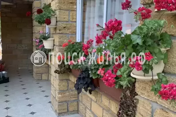 «Краски Черного моря», Архипо-Осиповка «Краски Черного моря», Архипо-Осиповка