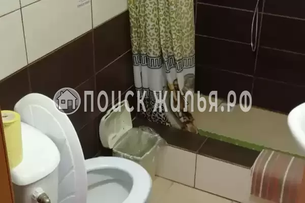 «Семейная», Благовещенская