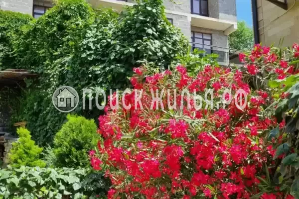 «Южный», Лазаревское