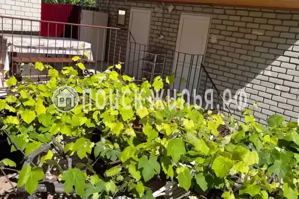 «На Самбурова», Анапа