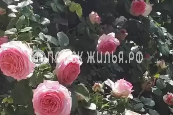 Частный сектор «Частное домовладение на Протапова», Анапа