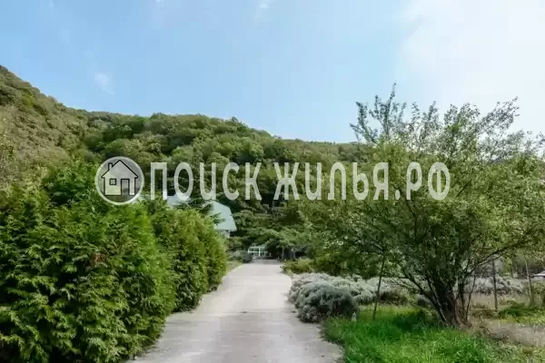 «Отрада», Ольгинка