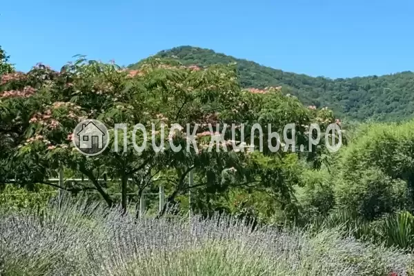 «Отрада», Ольгинка