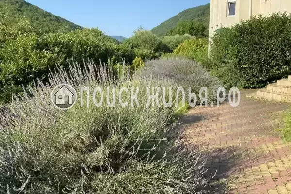 «Отрада», Ольгинка