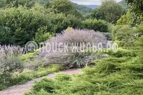 «Отрада», Ольгинка