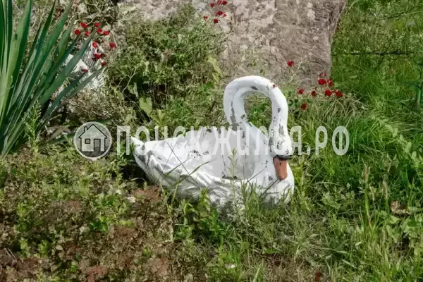 «Отрада», Ольгинка