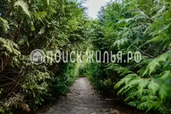 «Отрада», Ольгинка