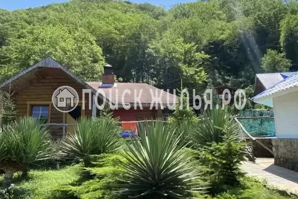 «Отрада», Ольгинка