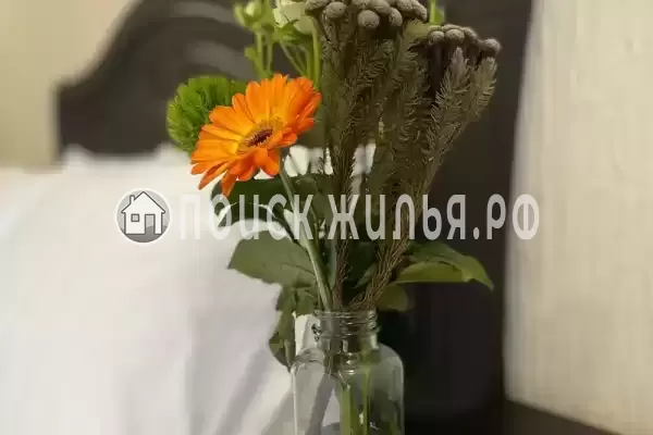 «Амар», Лазаревское «Амар», Лазаревское