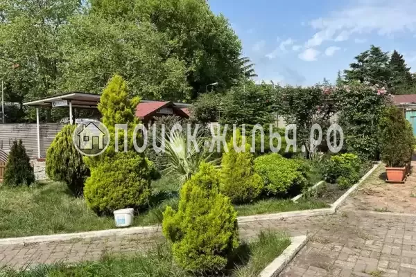 «Амар», Лазаревское «Амар», Лазаревское