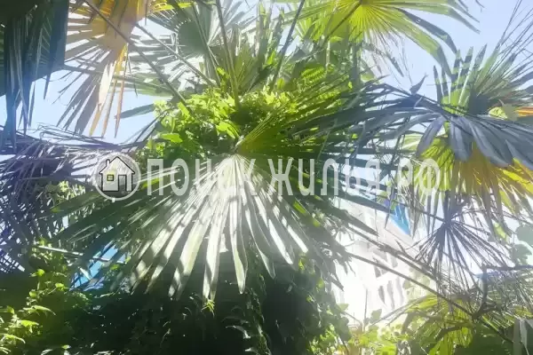 «У Натальи», Лазаревское