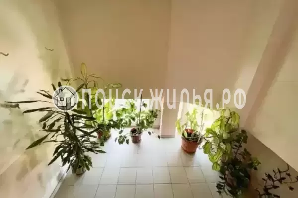 «Мирный», Лазаревское «Мирный», Лазаревское