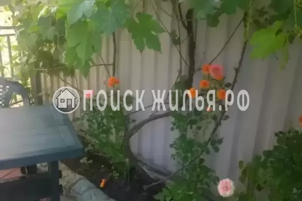 «Мирный», Лазаревское «Мирный», Лазаревское