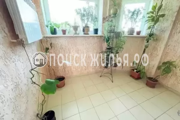 «Мирный», Лазаревское «Мирный», Лазаревское