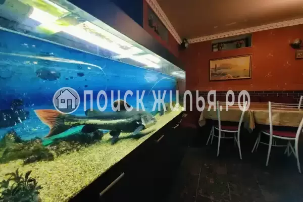 «Семья», Анапа