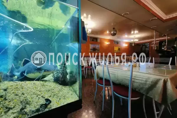 «Семья», Анапа