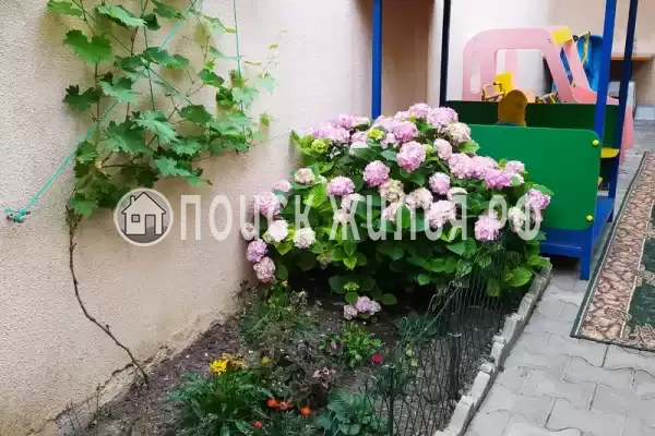 «Лайза», Анапа