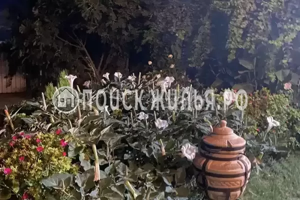 Гостевой дом «Белая Дача», Благовещенская Гостевой дом «Белая Дача», Благовещенская