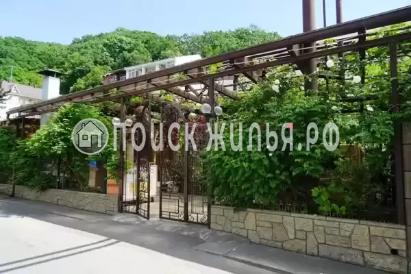 «Виноградная лоза», Лазаревское «Виноградная лоза», Лазаревское