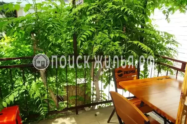 «Виноградная лоза», Лазаревское «Виноградная лоза», Лазаревское