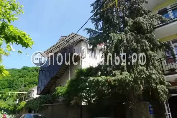 «Виноградная лоза», Лазаревское «Виноградная лоза», Лазаревское