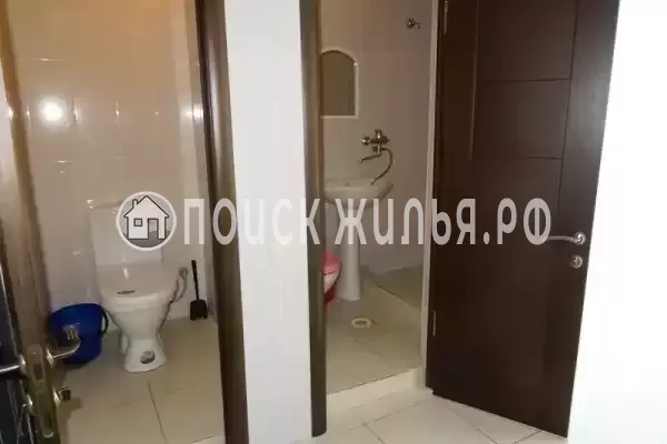 «Виноградная лоза», Лазаревское «Виноградная лоза», Лазаревское