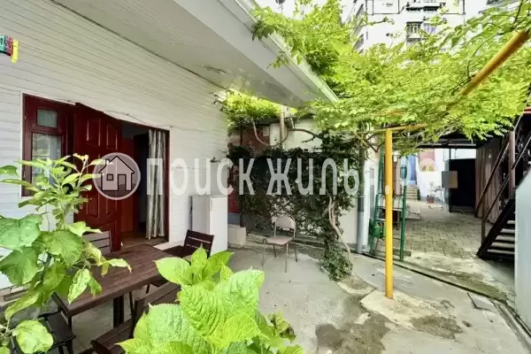 «Натали», Лазаревское