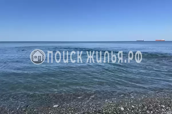 «Сын Апельсин», Шепси