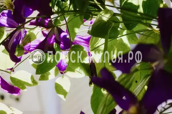 Частный сектор «Высокий берег», Анапа Частный сектор «Высокий берег», Анапа