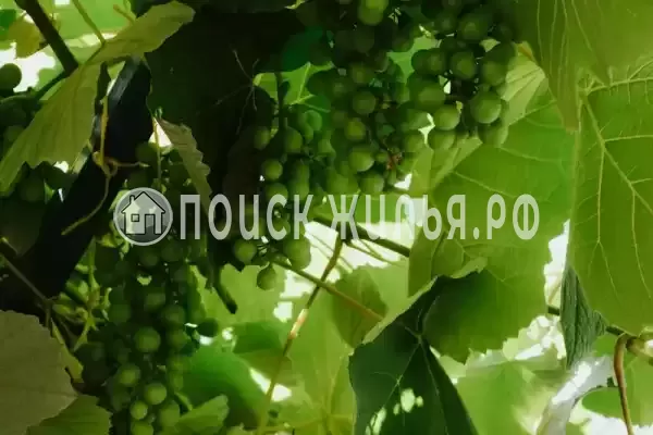 Частный сектор «Высокий берег», Анапа Частный сектор «Высокий берег», Анапа