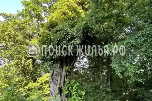 «Изумрудные холмы», Джубга