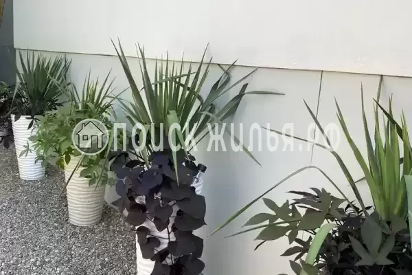 «Casa de la Lus», Архипо-Осиповка