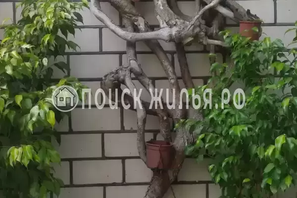 «Elpida», Анапа