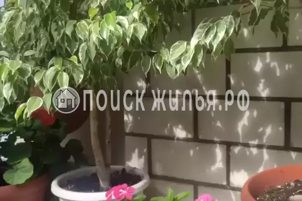 «Elpida», Анапа