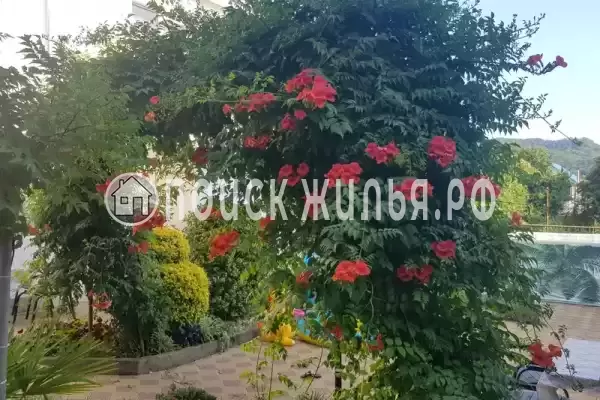 «Межгорье», Лоо