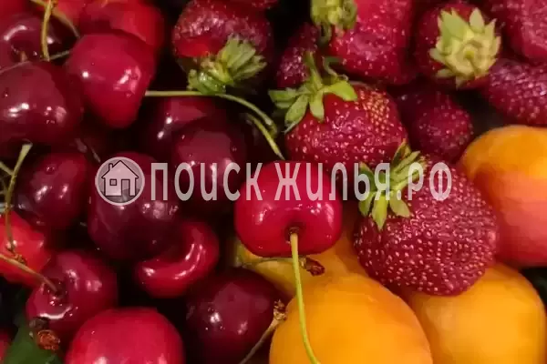 «Отдых на Кати Соловьяновой», Анапа