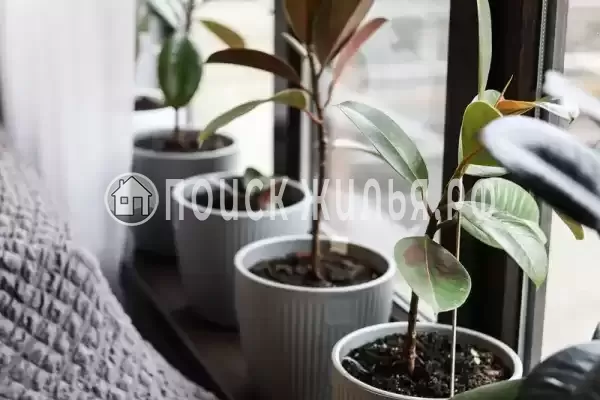 Частный сектор «У горной реки», Якорная Щель