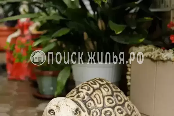 Частный сектор «Оазис», Джубга Частный сектор «Оазис», Джубга