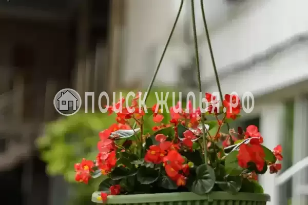 Частный сектор «Оазис», Джубга Частный сектор «Оазис», Джубга